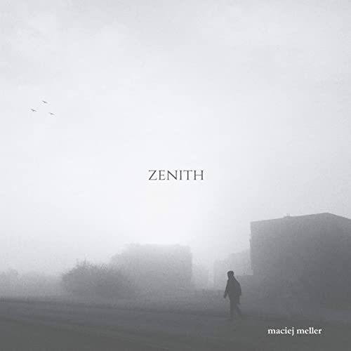 Maciej Meller - 2020 - Zenith